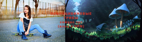 2c-b Белокуриха