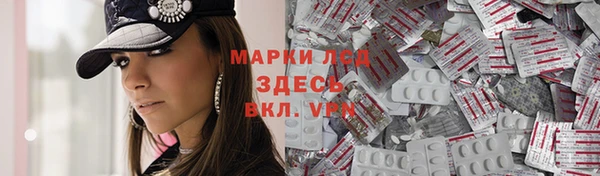 индика Беломорск