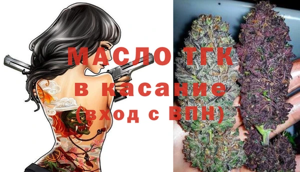 индика Беломорск