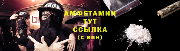 индика Беломорск