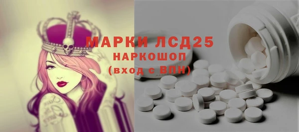 индика Беломорск