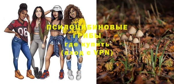 2c-b Белокуриха