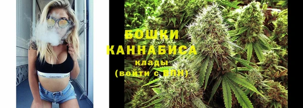 индика Беломорск