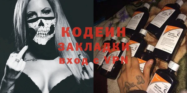 индика Беломорск