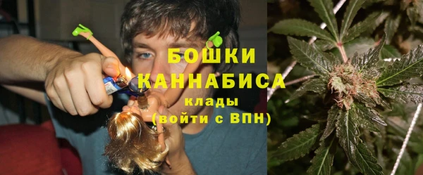 индика Беломорск