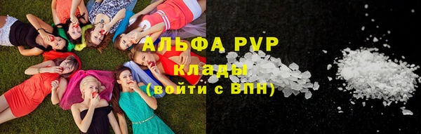 индика Беломорск