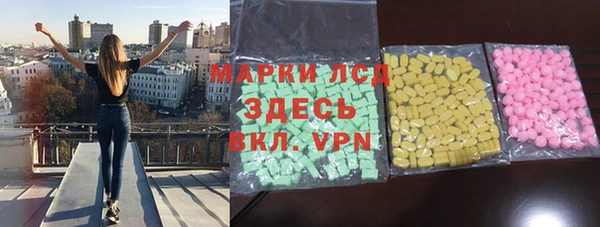 индика Беломорск