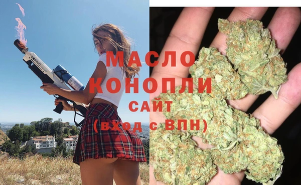 индика Беломорск
