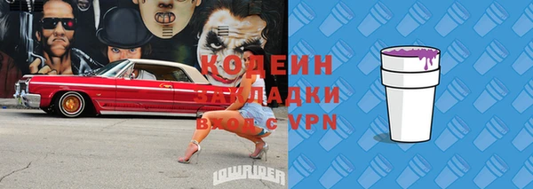 индика Беломорск