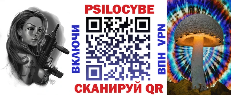 Галлюциногенные грибы Cubensis  нарко площадка какой сайт  Волчанск 